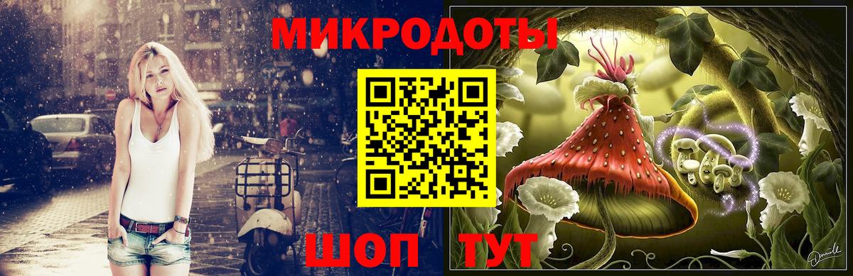 Псилоцибиновые грибы Psilocybe  Вход с VPN  Пугачёв  Псилоцибиновые грибы GOLDEN TEACHER 