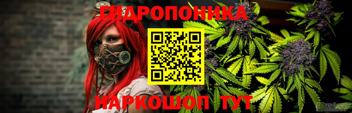 Бошки Шишки Amnesia  Шишки марихуана THC 21%  Марихуана OG Kush  Вход с VPN  Канабис гибрид  Пугачёв 